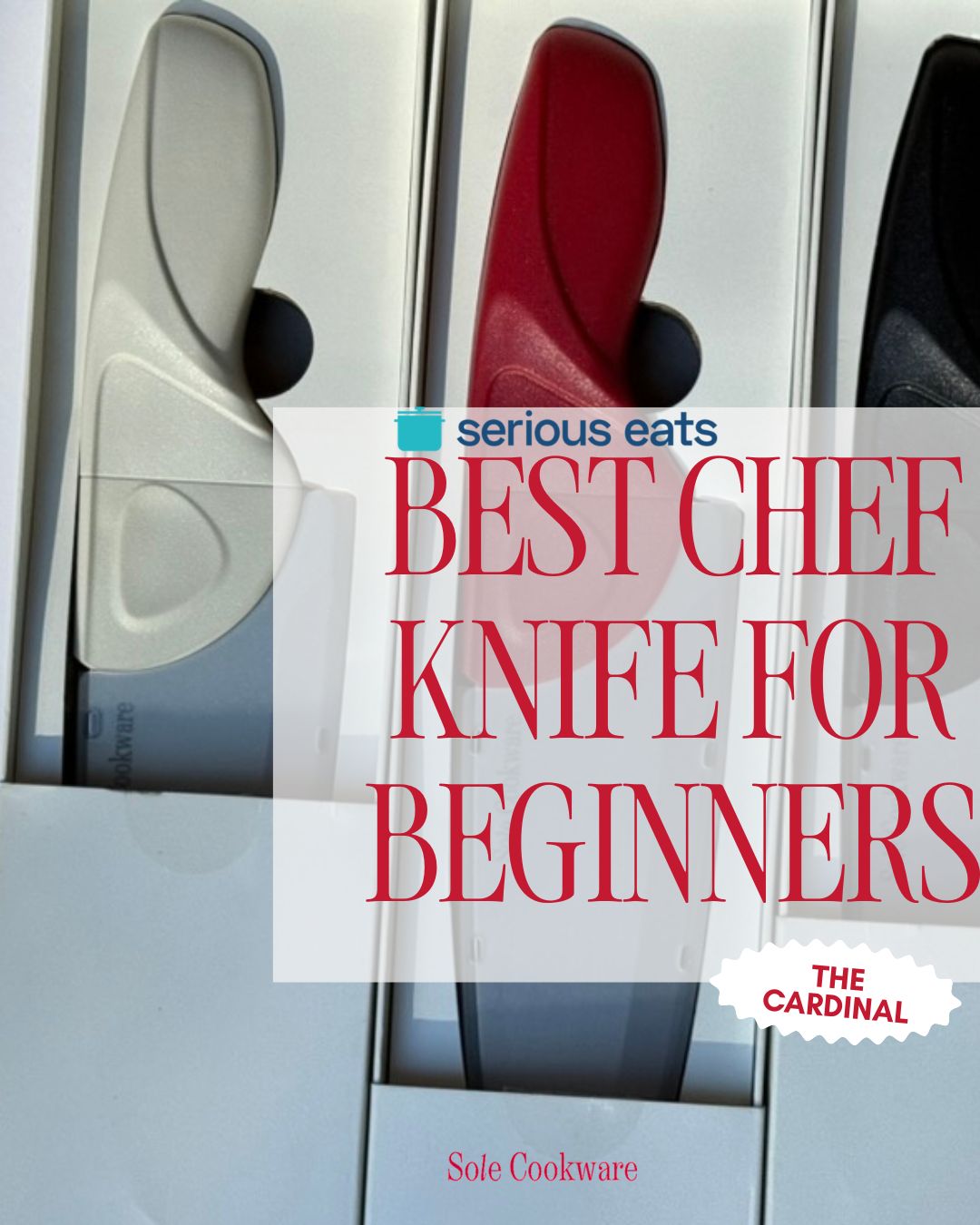 The Best Chef Knife for Beginners