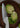 Sliced green cabbage on a wooden cutting board with a knife