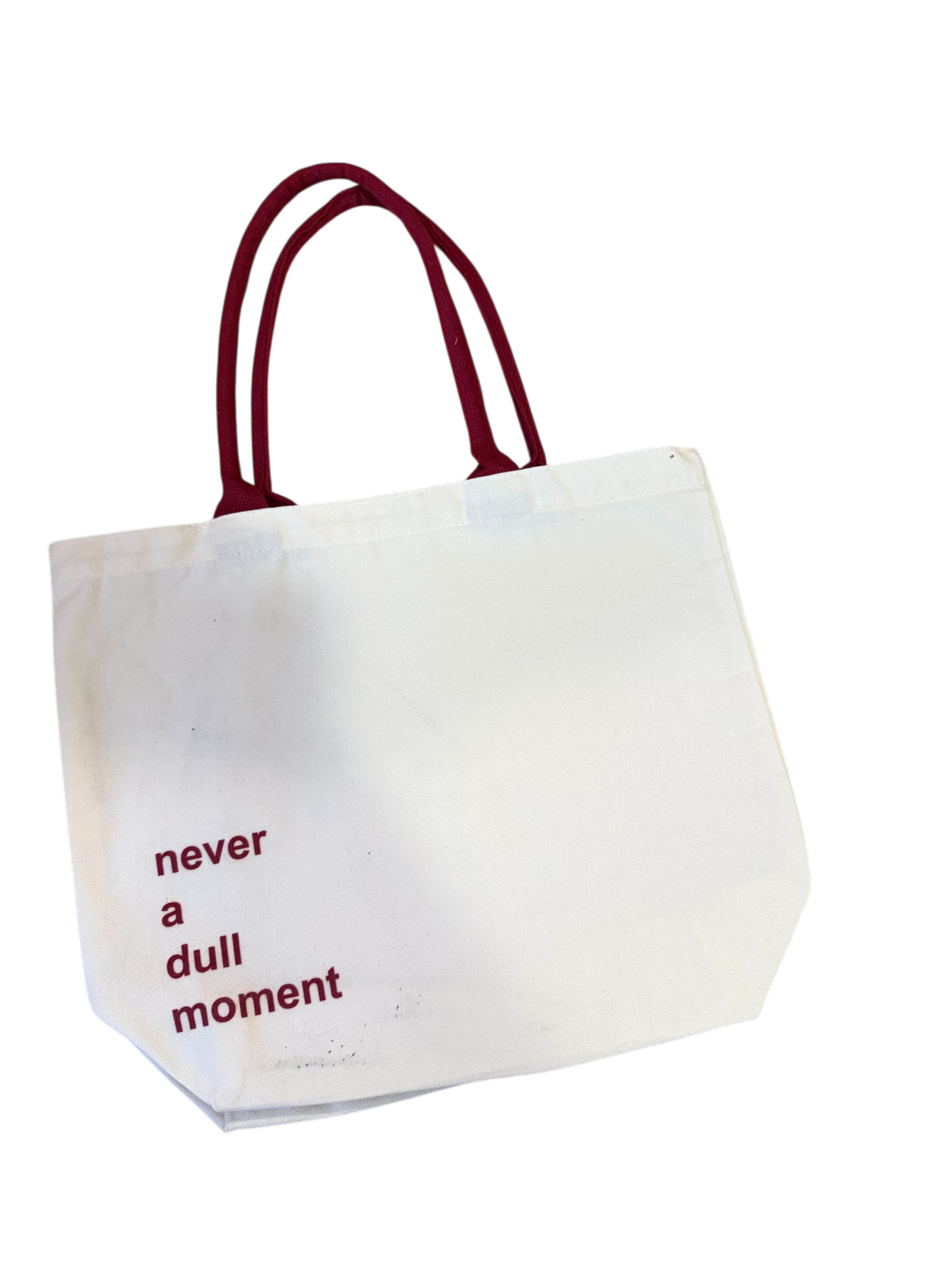 Never a Dull Moment Canvas Bag